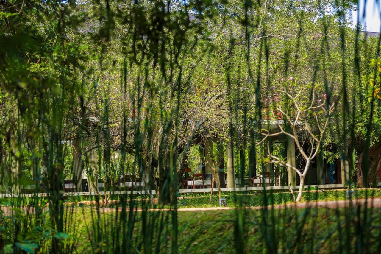 Tropical Life Resort And Spa Дамбула Екстериор снимка