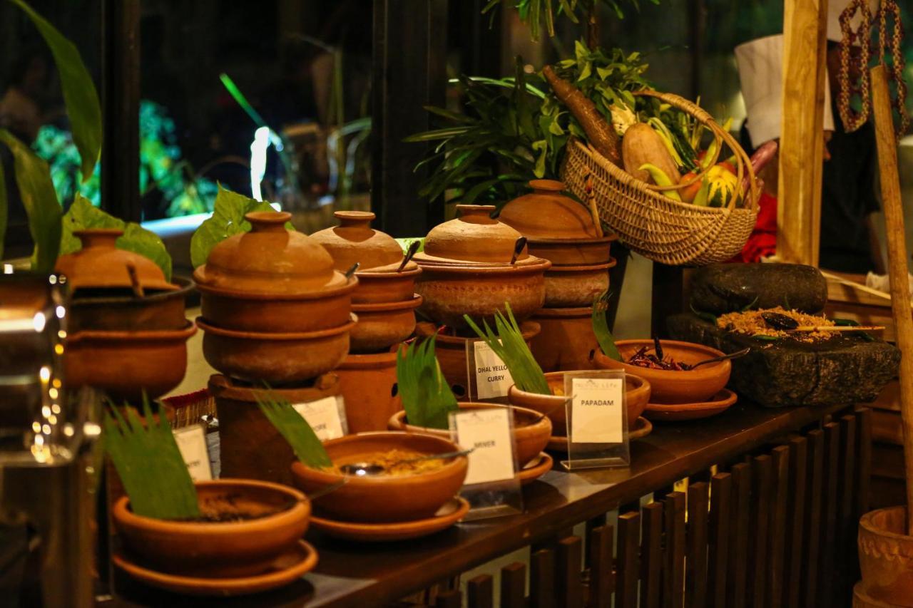 Tropical Life Resort And Spa Дамбула Екстериор снимка